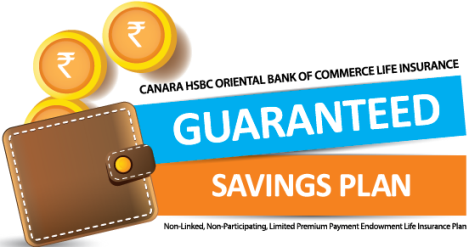 Guaranteed Savings Plan